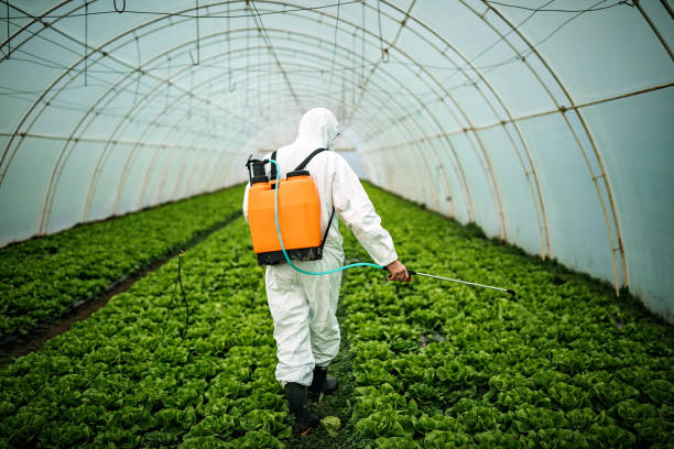 Best Pest Control Near Me  in Johnson Creek, WI