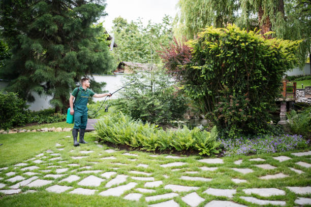 Best Wasp Removal Services  in Johnson Creek, WI