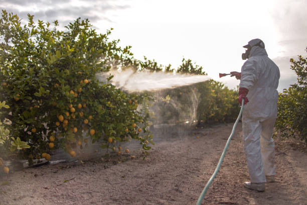 Best Best Pest Control Companies  in Johnson Creek, WI