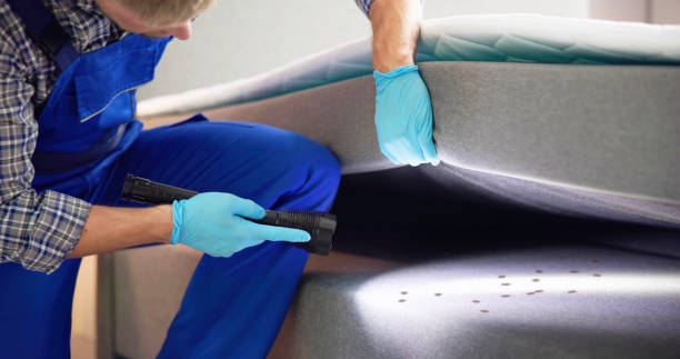 Reliable Johnson Creek, WI Pest Control Solutions