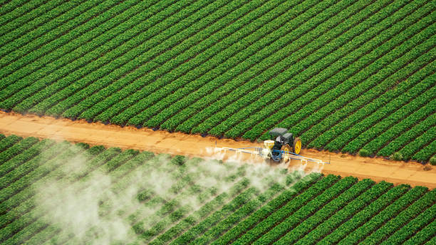 Best Commercial Pest Control Services  in Johnson Creek, WI