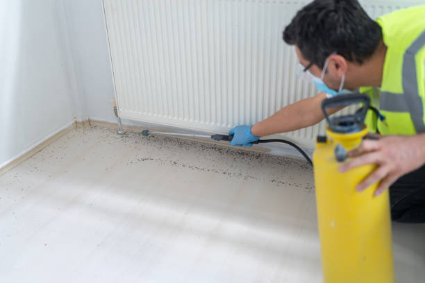 Professional Pest Control in Johnson Creek, WI